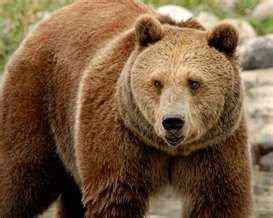 Image credit: http://www.destination360.com/