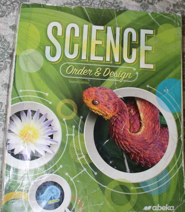 homeschool-and-family-ideas